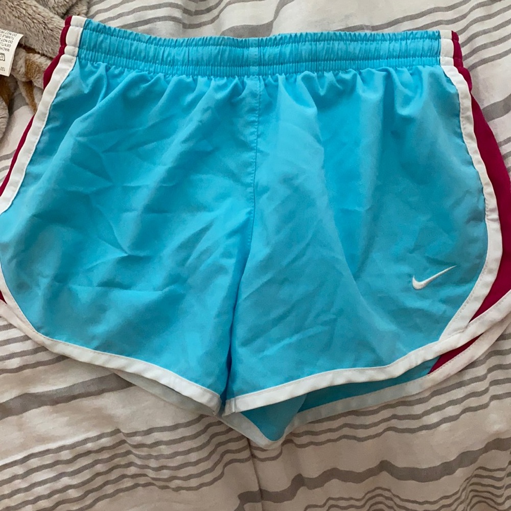 Blue and pink Nike shorts